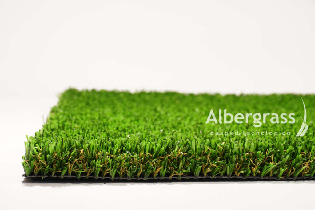 albergrass