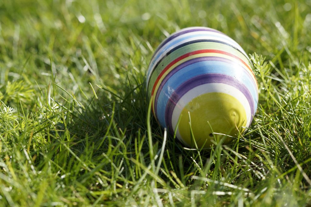 Cómo organizar una búsqueda de huevos de Pascua en tu jardín
