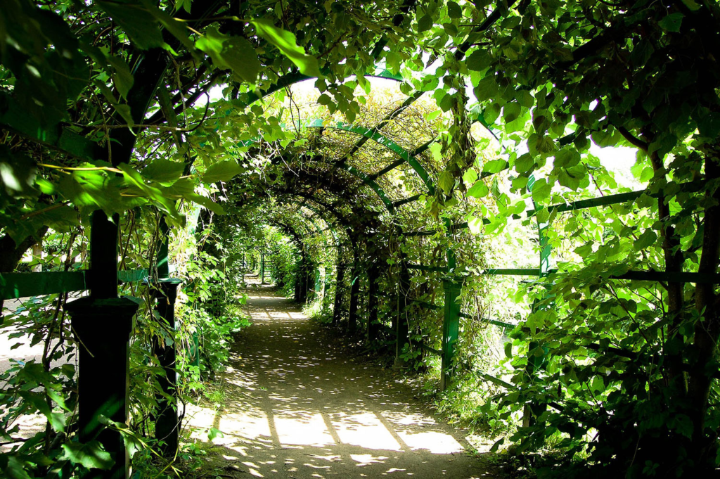 túnel de plantas