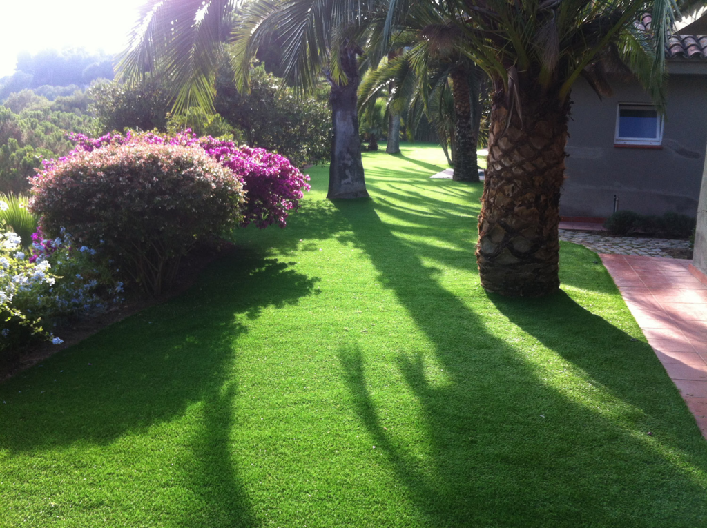jardín con palmeras, arbustos y césped