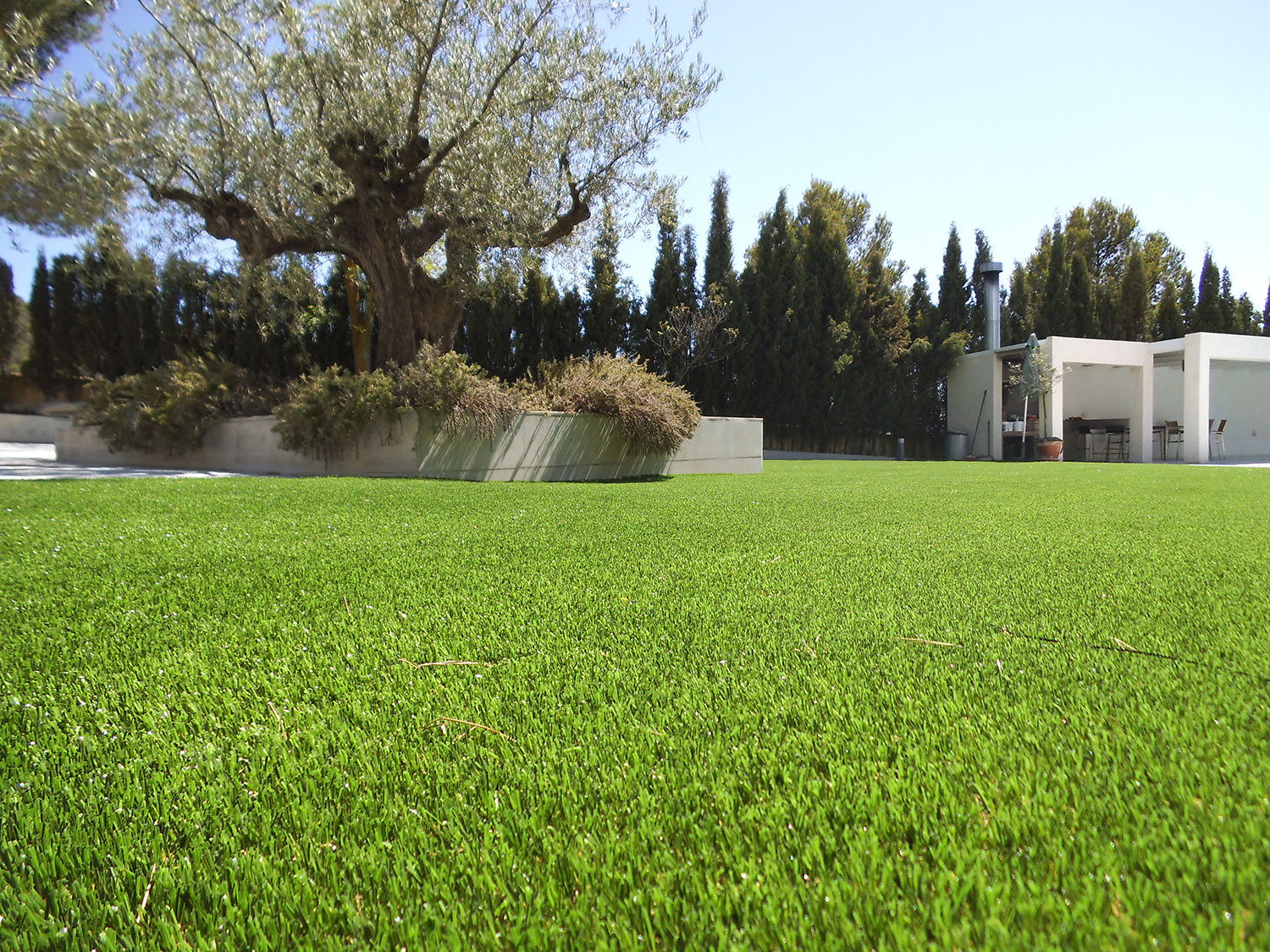 EquilibrioPuro Albergrass