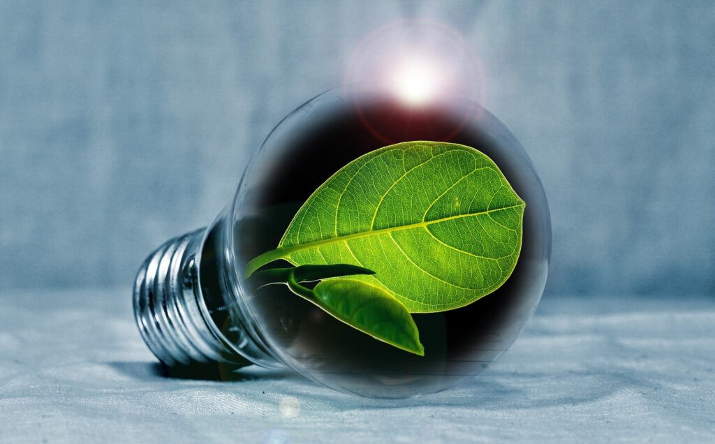 come risparmiare energia grazie all'erba