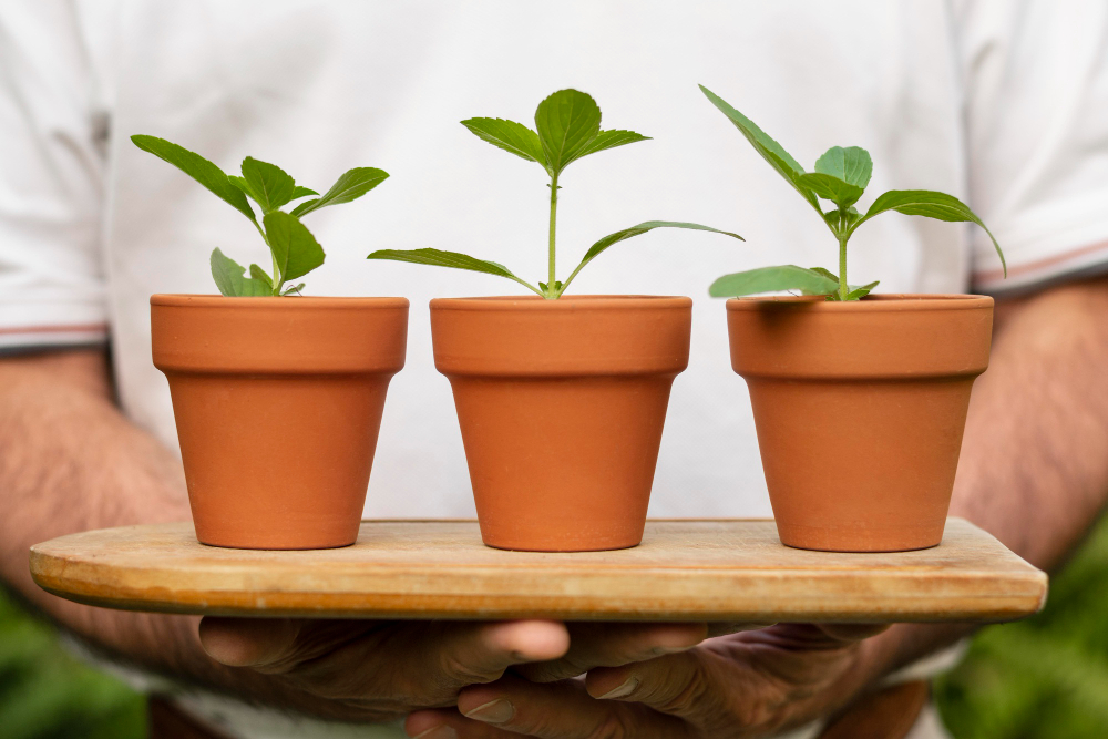 plant pot with spout planted