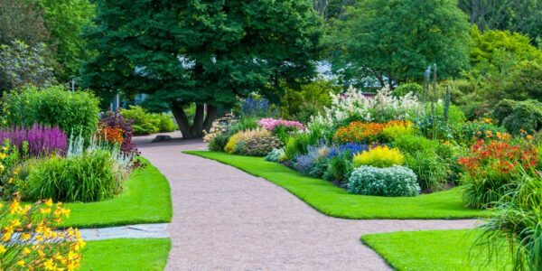 Decorating artificial turf with natural plants