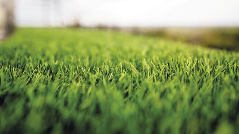 Artificial Grass with Atmös: cleans the air and reduces the pollution