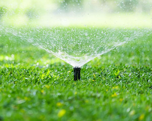 lawn irrigation
