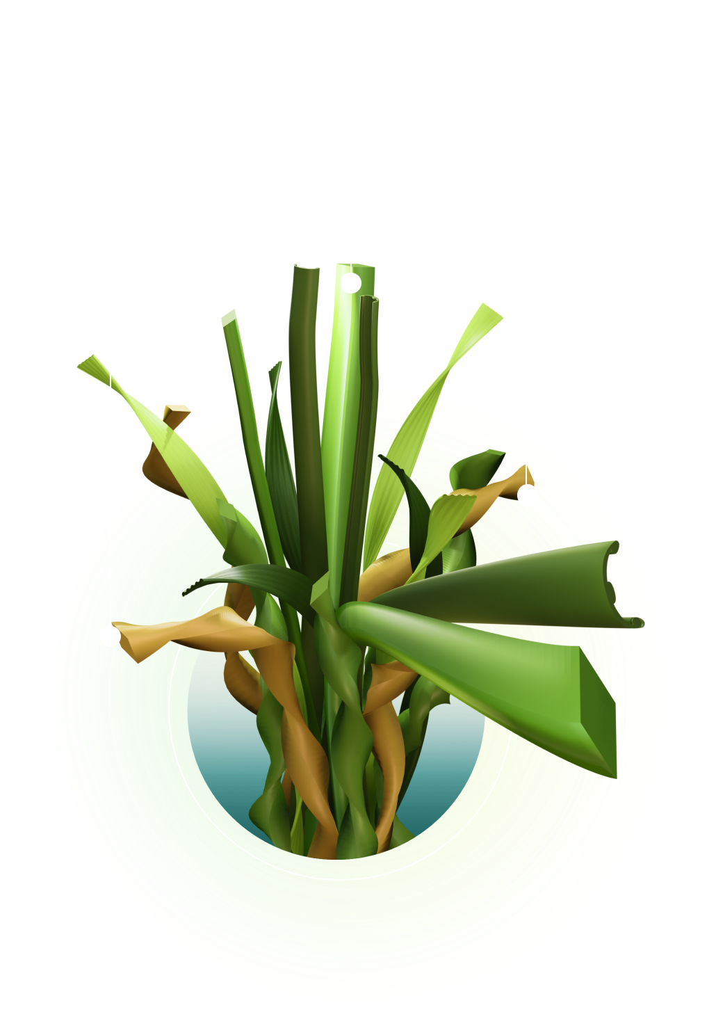 ComposicionHierba