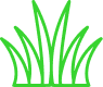 cesped