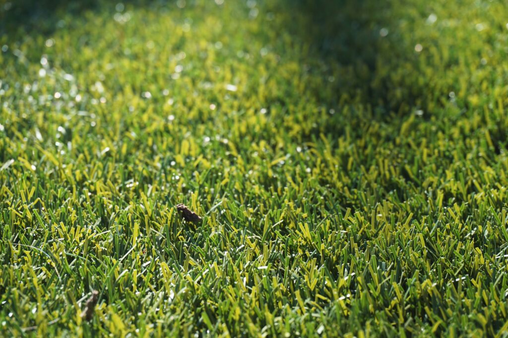 Artificial turf installed and trimmed at Albergrass.com