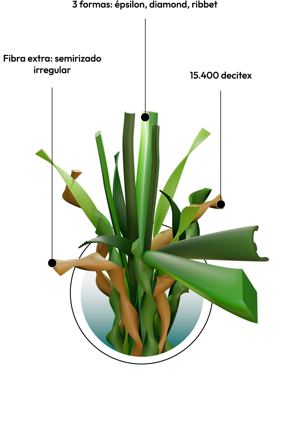 cespedMadeira