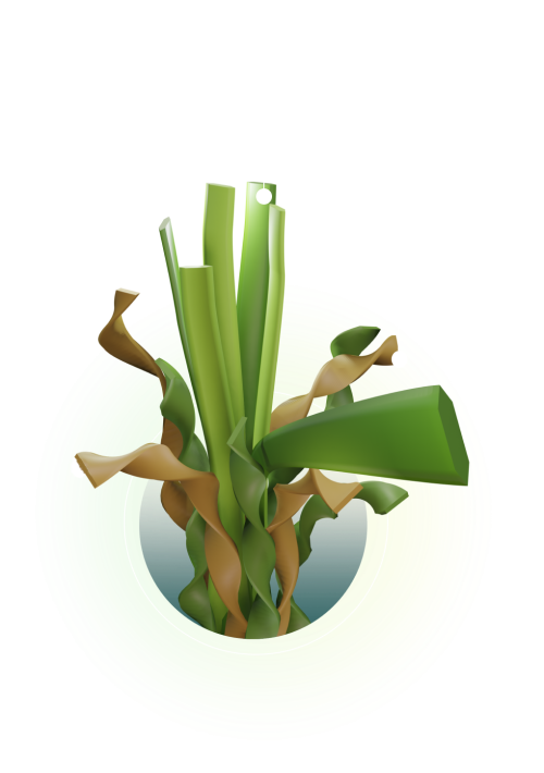 Render 3D Feroe